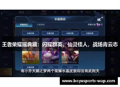王者荣耀瑶典藏：闪耀群英，仙灵佳人，战场青云志